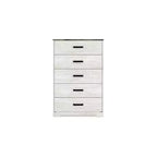 Casual Shawburn Chest of Drawers, Whitewash/Charcoal Gray